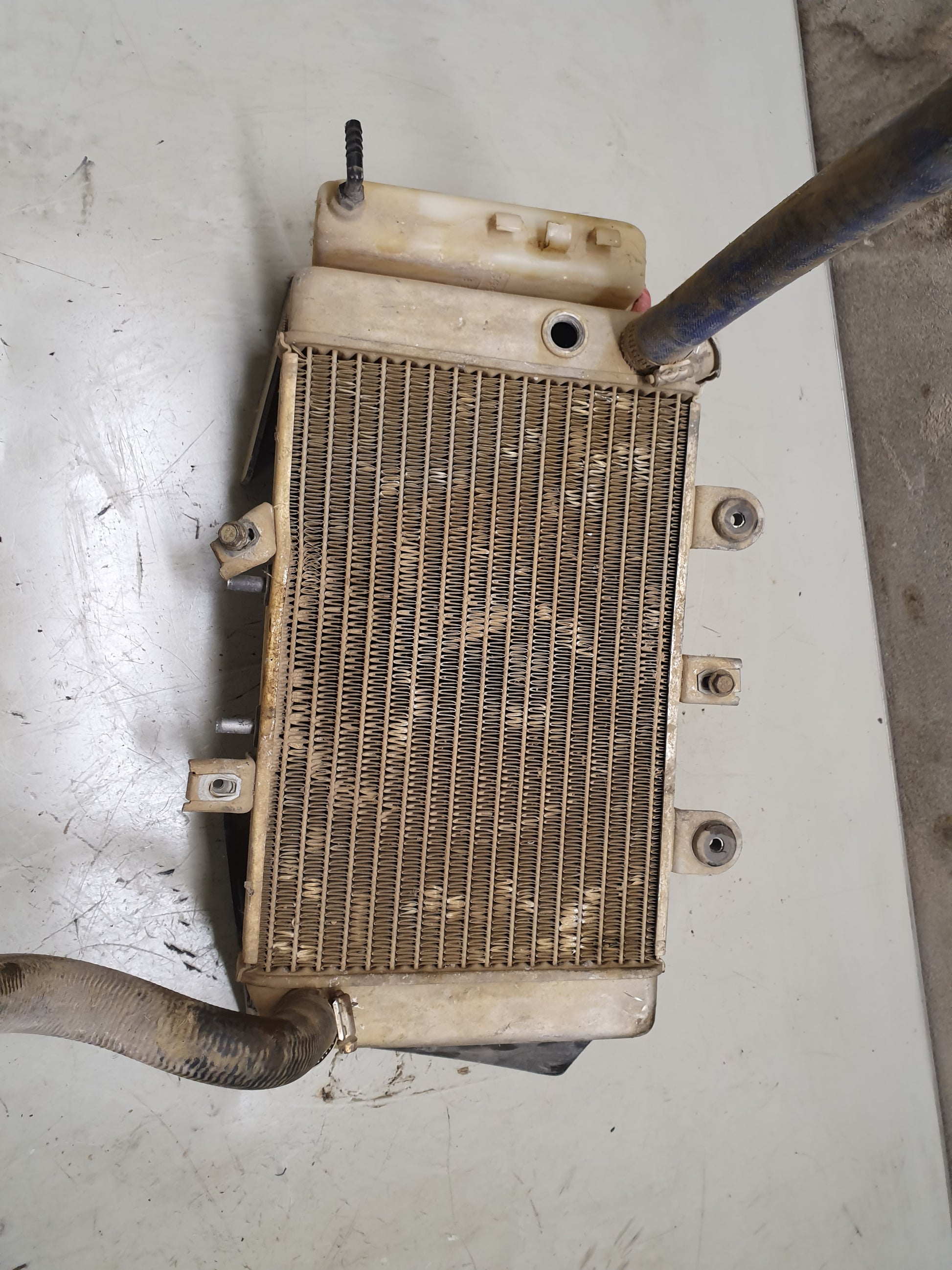 Radiateur polaris 500 predator-1