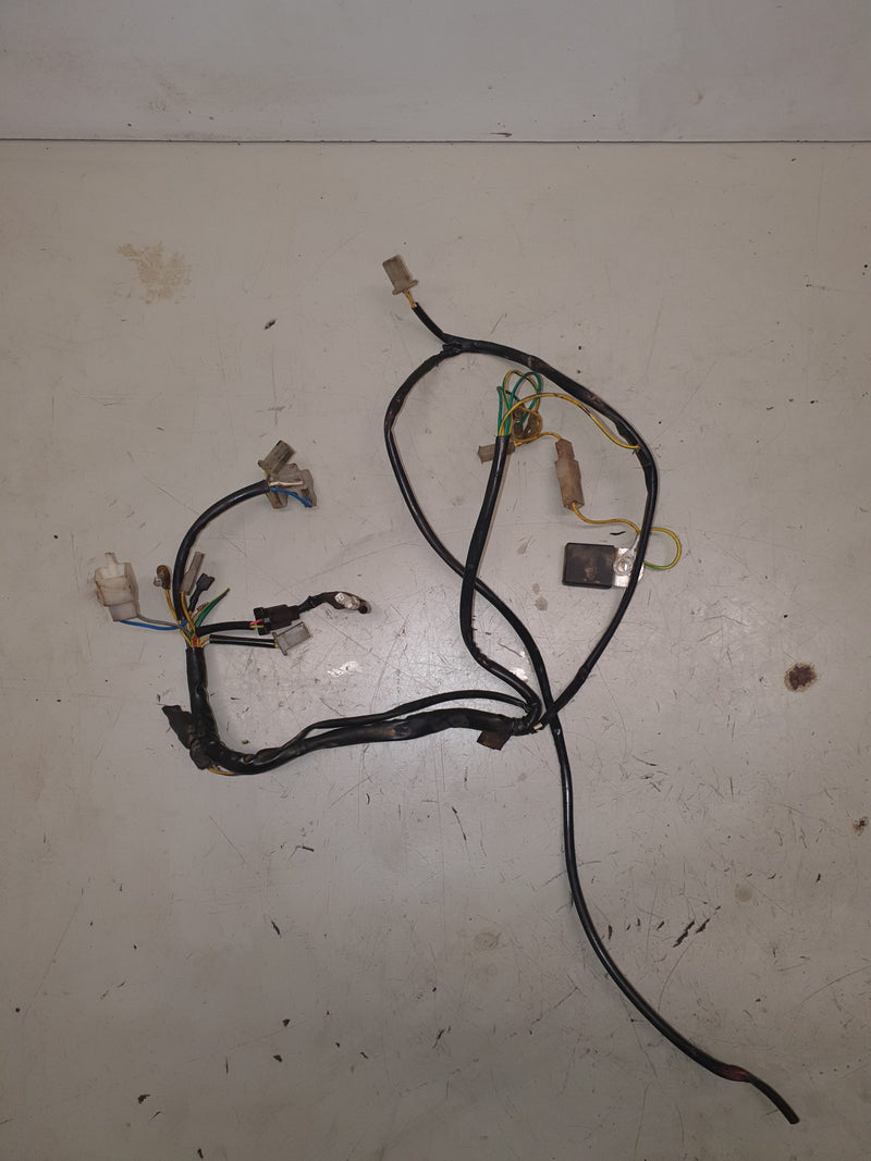 faisceau électrique gasgas 125 ec 2013-1