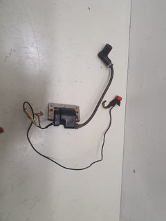 bobine allumage gasgas 270 txt 1999-1