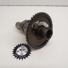 abre a came suzuki 600 dr-2