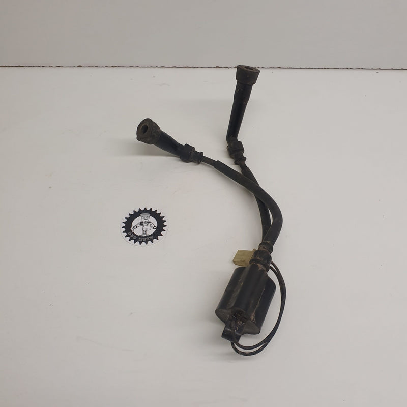 bobine allumage suzuki 600 dr-1