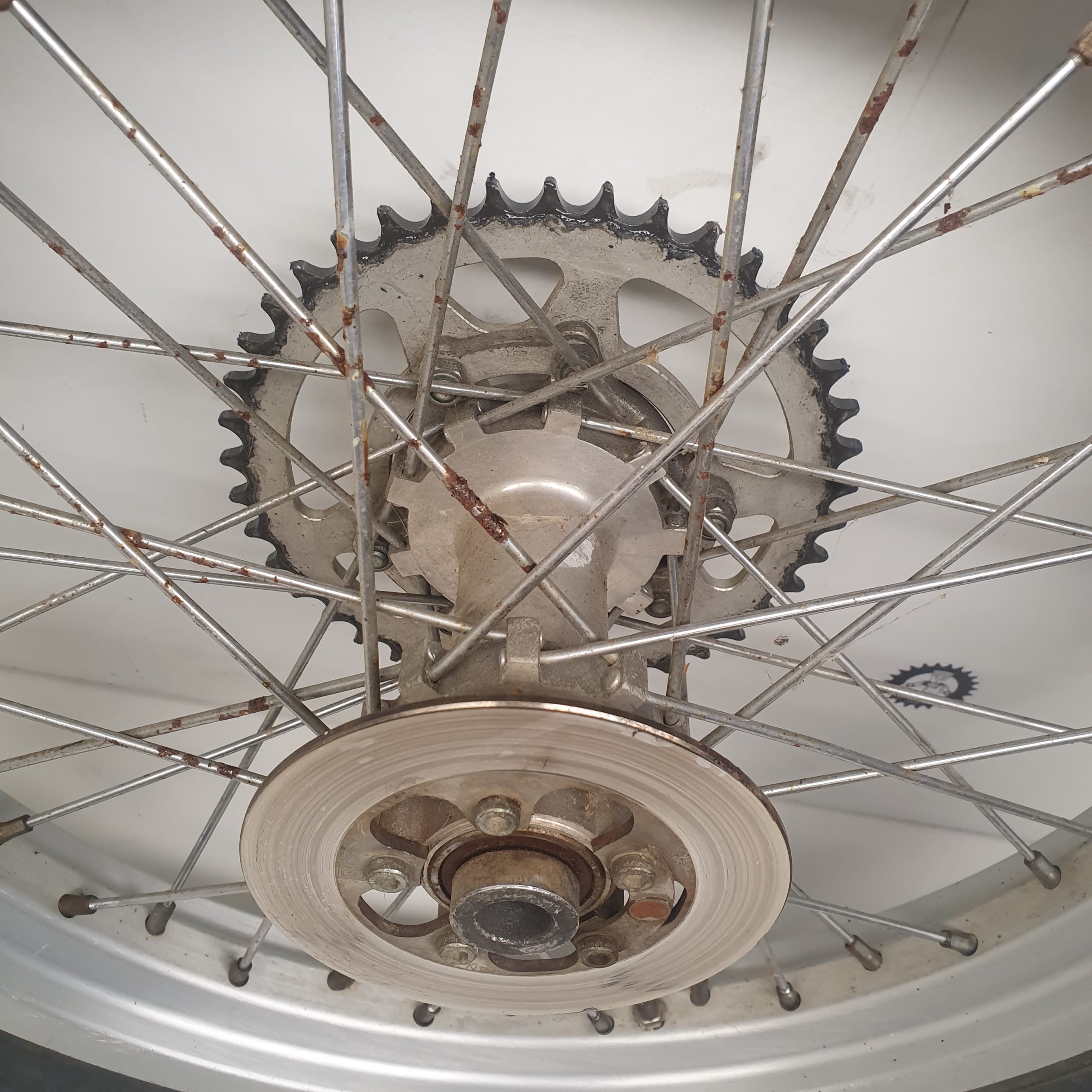 roue arriere gasgas 270 txt 1999