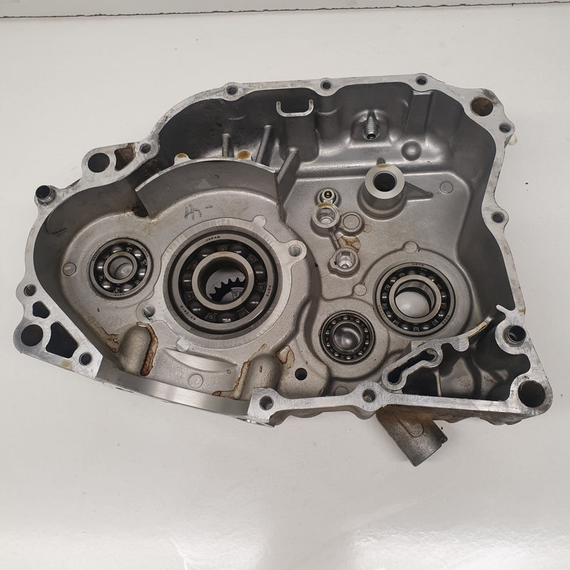 carter moteur gauche yamaha 250 raptor-3