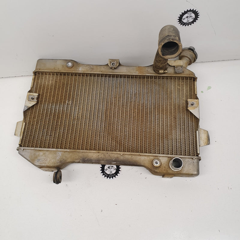 radiateur suzuki 450 ltr-1