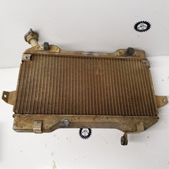 radiateur suzuki 450 ltr-2