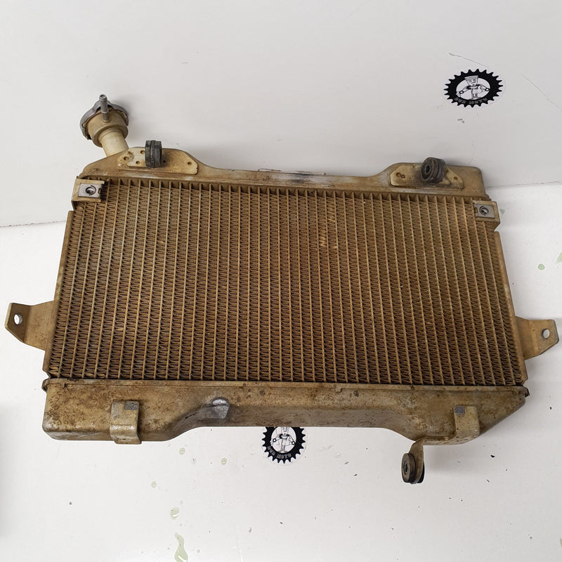 radiateur suzuki 450 ltr-2