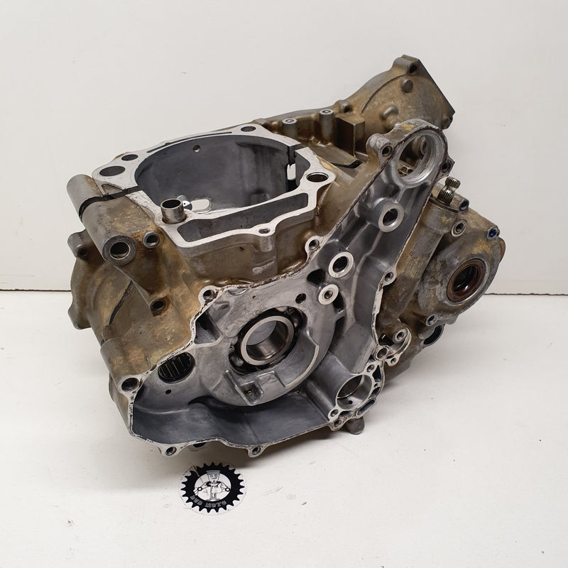 carters suzuki 450 ltr-1