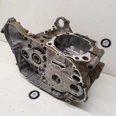 carters suzuki 450 ltr-3