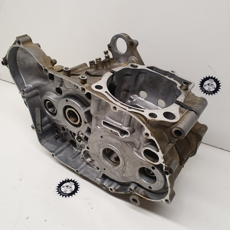 carters suzuki 450 ltr-3
