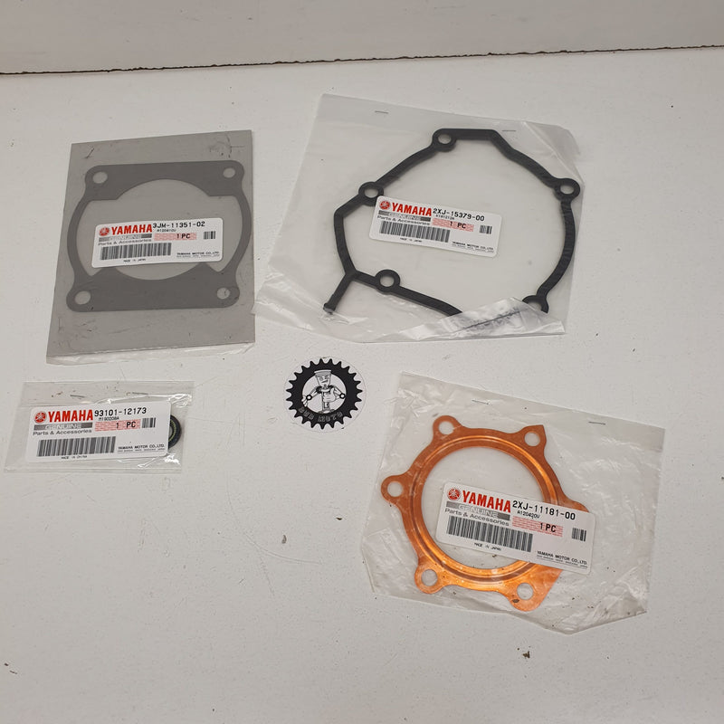 joints moteur yamaha 200 blaster-1