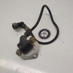 bobine allumage gasgas 280 txt 2006-1