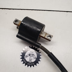 bobine allumage yamaha 250 yz 2002-1