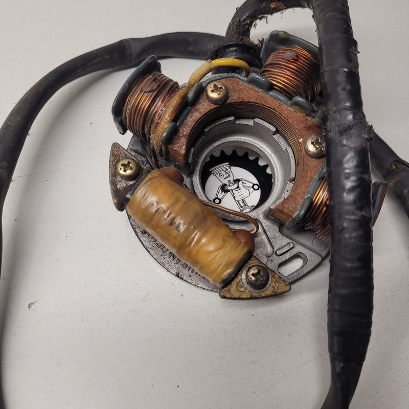 stator polaris 250 trail blazer-2