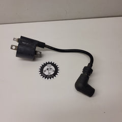 bobine allumage suzuki 125 tsr-1