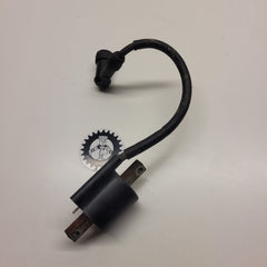 bobine yamaha 250 yz 2000-1