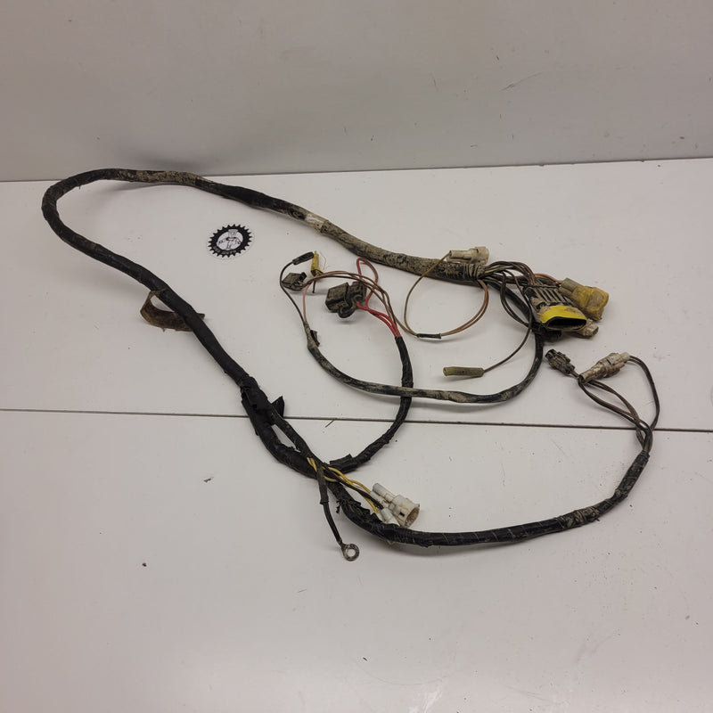 faisceau electrique yamaha 350 raptor-1