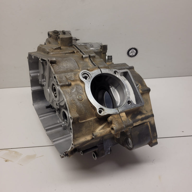 carters moteur yamaha 350 raptor-3