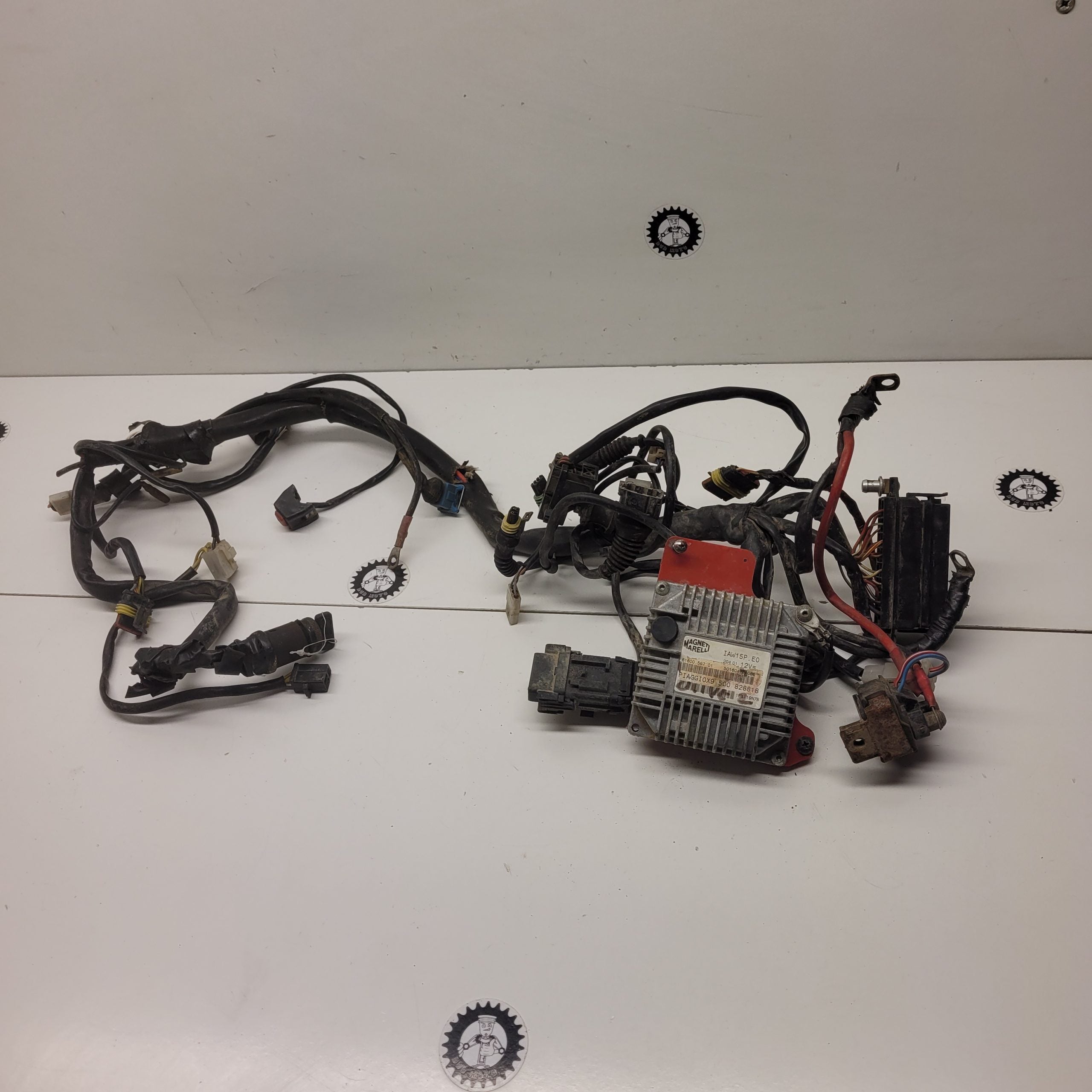 faisceau calculateur gasgas 400 fse 2003