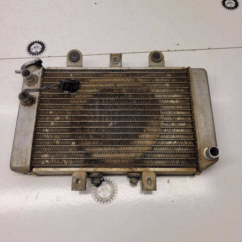Radiateur complet polaris 500 predator-1