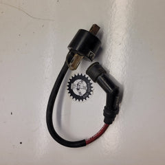 bobine allumage beta 450 rr 2006-1