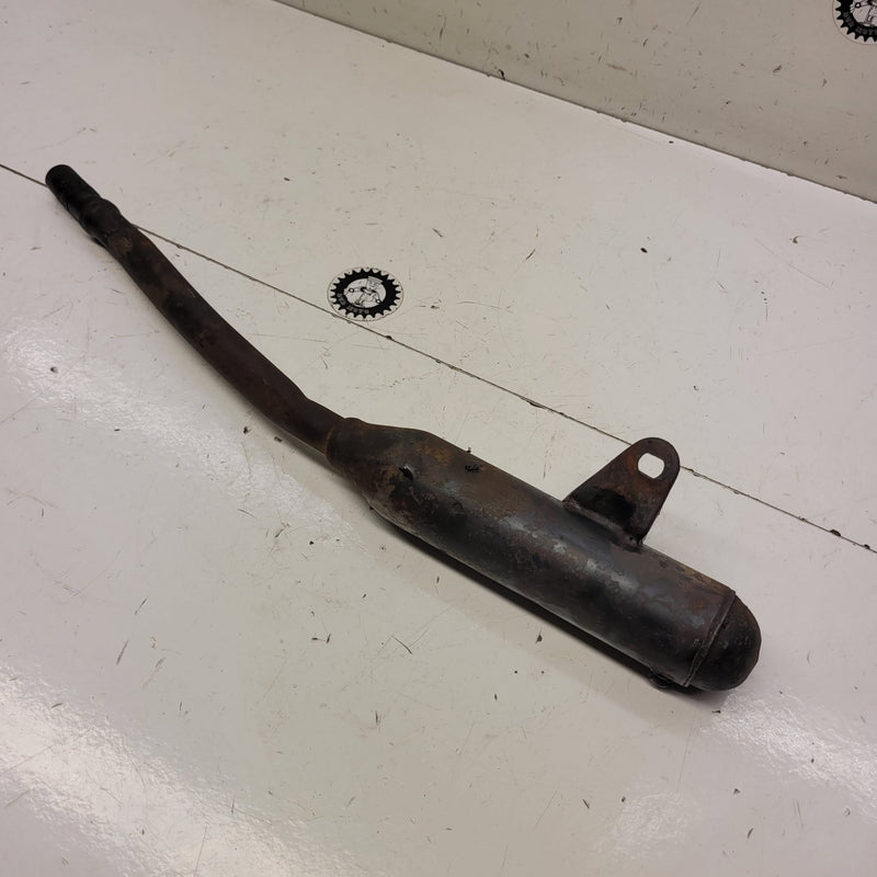 silencieux yamaha 100 rt-1