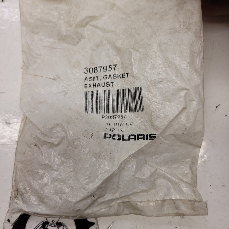 3087957 neuf polaris-2
