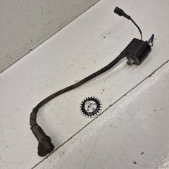 bobine allumage kawasaki 85 kx 2013-1