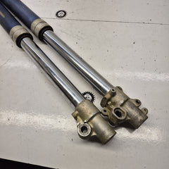 fourche en l'etat kawasaki 250 kdx-6