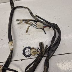faisceau gasgas 125 ec 2004-2