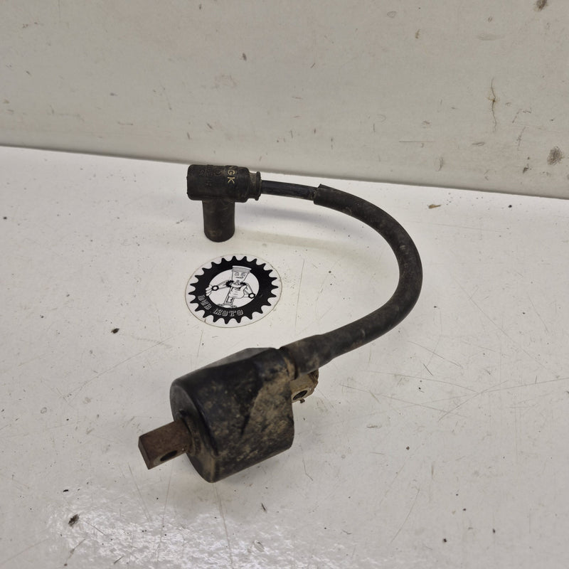 bobine allumage gasgas 125 ec 2004-1