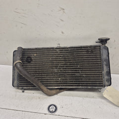 radiateur gasgas 450 wild-1