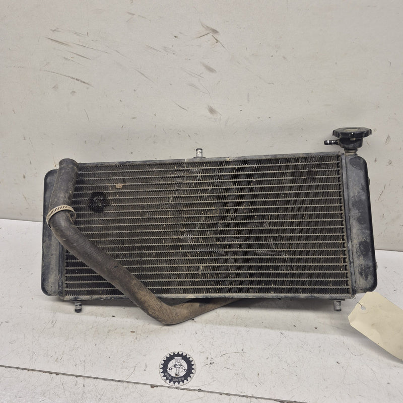 radiateur gasgas 450 wild-1