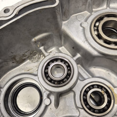 carter moteur gauche en état yamaha 350 raptor-4