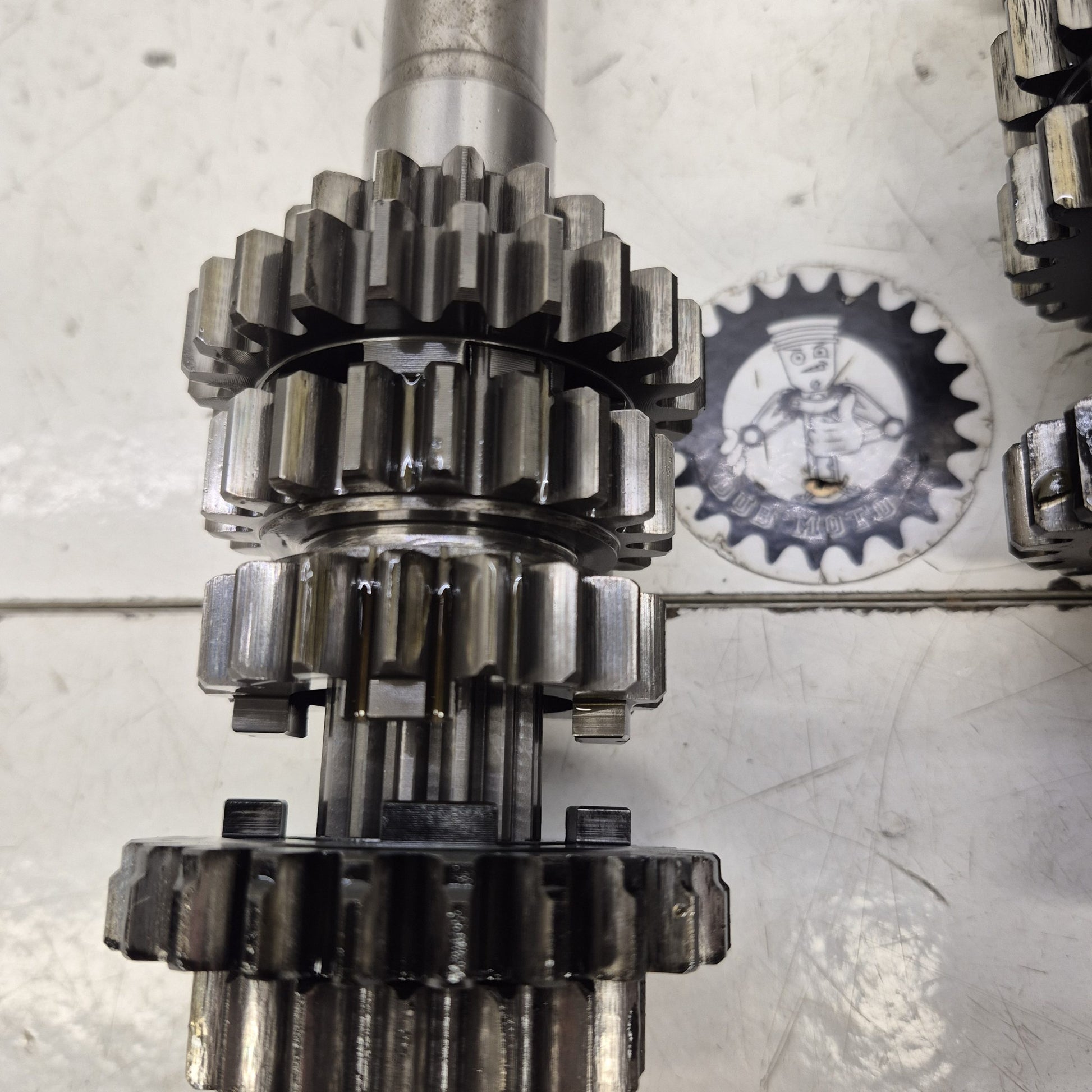 boite de vitesse gasgas 450 wild-2