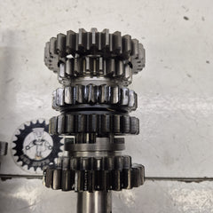 boite de vitesse gasgas 450 wild-3