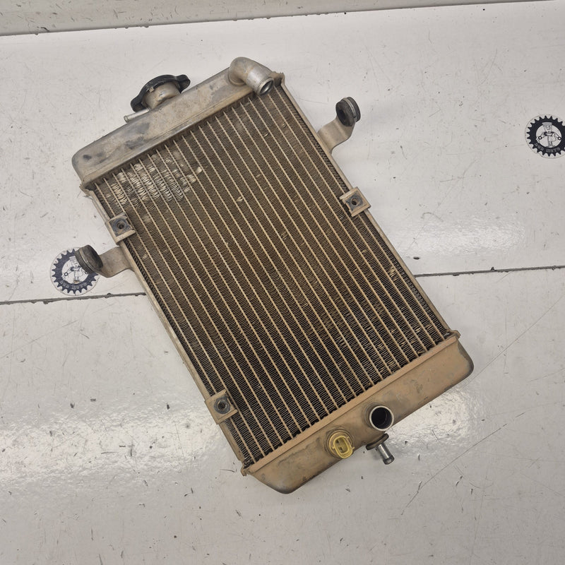 radiateur yamaha 660 raptor-1