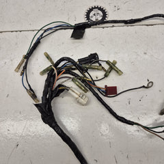 faisceau phase 1 yamaha 200 blaster-2