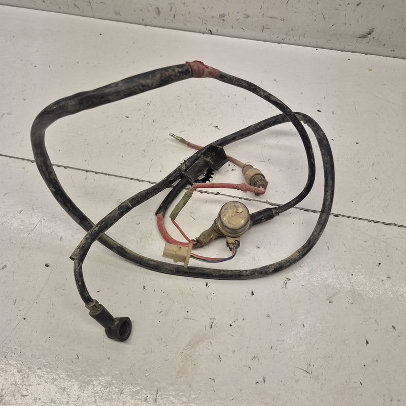 cable démarreur yamaha 350 warrior-1