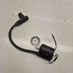 bobine kawasaki 125 kx-1