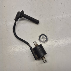 bobine yamaha 250 wrf 2002-1
