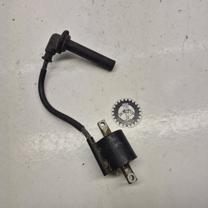 bobine yamaha 250 wrf 2002-1