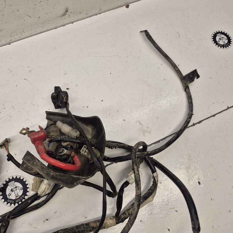 faisceau yamaha 250 wrf 2003-6
