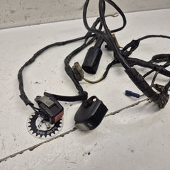 faisceau yamaha 400 wrf-2