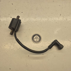 bobine allumage yamaha 250 yz 1997-1
