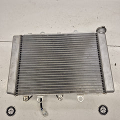 radiateur yamaha 700 grizzly 2018-2