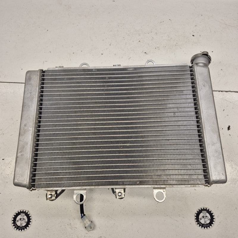 radiateur yamaha 700 grizzly 2018-2