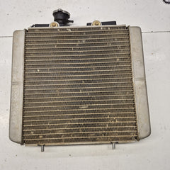 radiateur polaris 500 sprotsmann-2