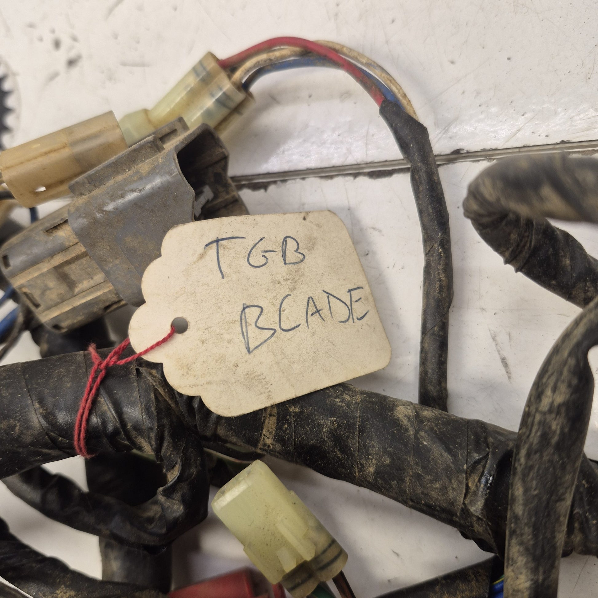 faisceau tgb 500 550 blade target  600 1000 ltx 924478-6