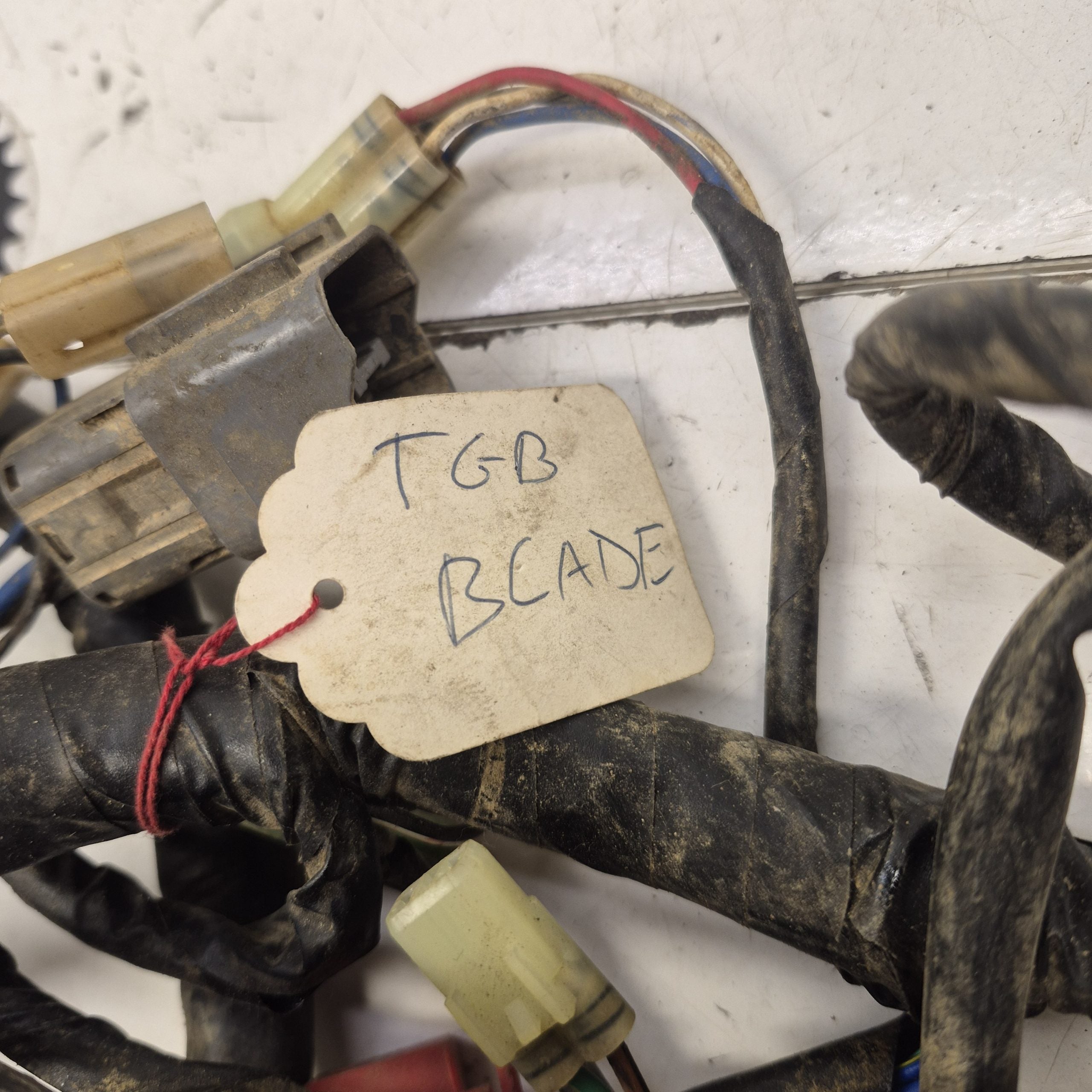 faisceau tgb 500 550 blade target  600 1000 ltx 924478-6