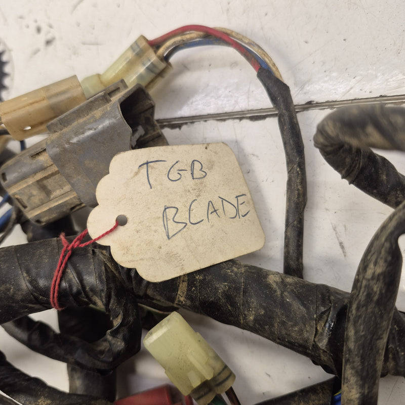 faisceau tgb 500 550 blade target  600 1000 ltx 924478-6
